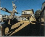 相模原市中央区宮下本町 中古一戸建て