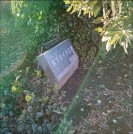 宮下さくら公園