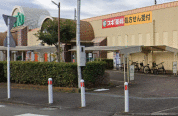 スギドラックコピオ城山店