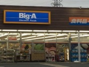 ビッグ・エー 相模原共和店
