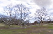 岸根公園