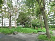 帷子川公園