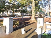 富士見公園
