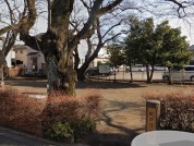 虹が丘公園