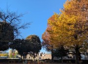 氷川公園