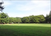 淵野辺公園