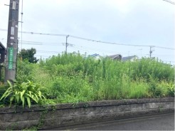 相模原市緑区原宿南1丁目
