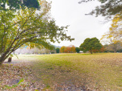 相模川自然の村公園
