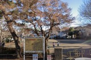 すすきの公園