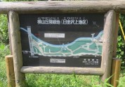 横山丘陵緑地