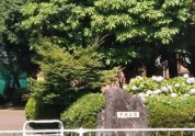 中央公園