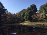谷戸池公園