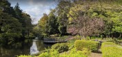 道保川公園