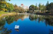 鹿沼公園