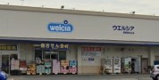 ウエルシア相模原田名店